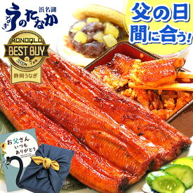 ＼まだ間に合う★300円クーポン／ 父の日 プレゼント うなぎ 国産 蒲焼き 食べ物 送料無料 鰻 食品 人気 ギフト 誕生日 最強配送 特大長蒲焼1本 1尾 カット蒲焼2枚 どら焼き 【静岡産 AA 風呂敷】furoshiki-Asetdora2 [2〜3人前]うなぎのたなか