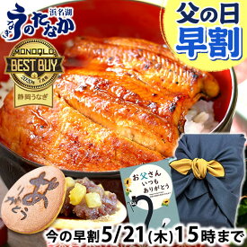 ＼先着150円クーポン！／ 父の日 早割 プレゼント うなぎ 国産 蒲焼き 食べ物 送料無料 鰻 お祝い 食品 グルメ 人気 ギフト 内祝い 誕生日 母の日 ご褒美 最強配送 85〜95g2枚 どら焼き 【静岡産 通常 AA 風呂敷】furoshiki-pon2dora [1~2人前]
