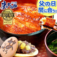 ＼本日★P4倍&200円クーポン！／ 父の日 まだ間に合う プレゼント うなぎ 国産 蒲焼き 食べ物 送料無料 …