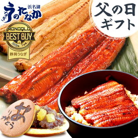 ＼限定★250円クーポン対象！／ 父の日 プレゼント うなぎ 国産 蒲焼き ギフト 送料無料 鰻 真空パック 食品 食べ物 人気 クーポン 内祝い 誕生日 お祝い お中元 御中元 夏ギフト あす楽 90～110g2本 2尾 どら焼き付き 【静岡産 通常 AA 簡易箱】Gsetdora2 [1～2人前]