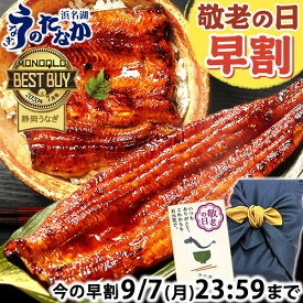 ＼早割ラスト★本日23：59まで／ 敬老の日 早割 プレゼント うなぎ 国産 蒲焼き 送料無料 鰻 食品 人気 ギフト 誕生日 内祝い 小分け ご褒美 お中元 御中元 特大長蒲焼1本 1尾 特大 カット蒲焼き2枚 最強配送 【静岡産 AAA 風呂敷】FA [2〜3人前] うなぎのたなか