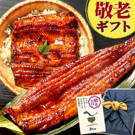 【週末限定★ポイント3倍】 敬老の日 プレゼント うなぎ 国産 蒲焼き 送料無料 鰻 食品 人気 ギフト 誕生日 内祝い 小分け ご褒美 お中元 御中元 特大長蒲焼1本 1尾 特大 カット蒲焼き2枚 最強配送 【静岡産 AAA 風呂敷】FA [2〜3人前] うなぎのたなか