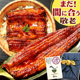 ＼まだ間に合う！／ 敬老の日 プレゼント うなぎ 国産 蒲焼き 送料無料 鰻 食品 人気 ギフト 誕生日 内祝い 小分け ご褒美 お中元 御中元 特大長蒲焼1本 1尾 特大 カット蒲焼き2枚 最強配送 【静岡産 AAA 風呂敷】FA [2〜3人前] うなぎのたなか