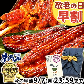 ＼早割ラスト★本日23：59まで／ 敬老の日 早割 プレゼント うなぎ 国産 蒲焼き 食べ物 送料無料 鰻 食品 グルメ 人気 ギフト 誕生日 内祝い 夏ギフト ご褒美 お中元 特大 180〜200g2本 2尾 最強配送 【静岡産 通常 AAA 風呂敷】Ftn2 [2〜3人前]うなぎのたなか