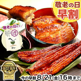 ＼早割8/20(木)まで！／ 敬老の日 早割 プレゼント うなぎ 国産 蒲焼き 食べ物 送料無料 鰻 食品 グルメ 人気 ギフト 誕生日 内祝い 夏 ご褒美 お中元 御中元 特大 90〜110g 200〜160g 180〜200g 2〜6尾 最強配送 【静岡産 AAA 簡易箱】Gset [1〜6人前]うなぎのたなか
