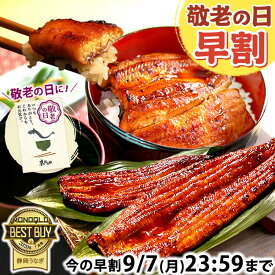 ＼早割ラスト★本日23：59まで／ 敬老の日 早割 プレゼント うなぎ 国産 蒲焼き 食べ物 送料無料 鰻 食品 グルメ 人気 ギフト 誕生日 内祝 ご褒美 お中元 特大 90〜110g 200〜160g 180〜200g 2〜6尾 最強配送 【静岡産 AAA 簡易箱】Gset [1〜6人前]うなぎのたなか