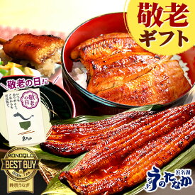 【週末限定★ポイント3倍】 敬老の日 プレゼント うなぎ 国産 蒲焼き 食べ物 送料無料 鰻 食品 グルメ 人気 ギフト 誕生日 内祝 ご褒美 お中元 特大 90〜110g 200〜160g 180〜200g 2〜6尾 最強配送 【静岡産 AAA 簡易箱】Gset [1〜6人前]うなぎのたなか