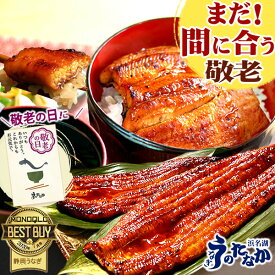 ＼まだ間に合う！／ 敬老の日 プレゼント うなぎ 国産 蒲焼き 食べ物 送料無料 鰻 食品 グルメ 人気 ギフト 誕生日 内祝 ご褒美 お中元 特大 90〜110g 200〜160g 180〜200g 2〜6尾 最強配送 【静岡産 AAA 簡易箱】Gset [1〜6人前]うなぎのたなか
