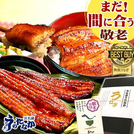 ＼まだ間に合う！／ 敬老の日 プレゼント うなぎ 国産 蒲焼き 食べ物 送料無料 鰻 食品 グルメ 人気 ギフト 誕生日 内祝い 夏ギフト ご褒美 お中元 御中元 90〜110g2本 2尾 最強配送 【静岡産 通常 AAA 化粧箱】gset [1〜2人前]うなぎのたなか
