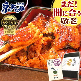 ＼まだ間に合う！／ 敬老の日 うなぎ 国産 プレゼント 蒲焼き 食べ物 送料無料 鰻 食品 グルメ 人気 ギフト 誕生日 内祝い ご褒美 お中元 小分け 蒲焼き 最強配送 【静岡産 AAA 簡易箱・化粧箱・風呂敷】PON-2 [1〜6人前] 浜名湖うなぎのたなか