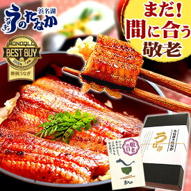 ＼まだ間に合う！／ 敬老の日 プレゼント うなぎ 国産 小分け 蒲焼き 食べ物 送料無料 鰻 食品 グルメ 人気 ギフト 誕生日 内祝い 夏ギフト ご褒美 お中元 85〜95g3枚 最強配送 【静岡産 通常 AAA 化粧箱】Bset [2〜3人前] うなぎのたなか