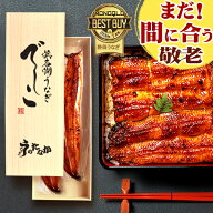 ＼まだ間に合う！／ 敬老の日 ギフト 国産 浜名湖 うなぎ プレゼント 蒲焼き 食べ物 送料無料 鰻 食品 人…