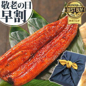 敬老の日 早割 プレゼント 国産 うなぎ 蒲焼き 食べ物 送料無料 鰻 ギフト 真空パック 夏ギフト ギフトセット グルメ 人気 最強配送 90〜110g1本 1尾 【静岡産 AC 風呂敷】furoshiki-6p [1〜2人前] 9/13 15時迄の注文で9/15迄にお届け
