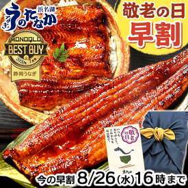 ＼静岡県民の日記念★P3倍&150円クーポン／ 敬老の日 早割 プレゼント うなぎ 国産 蒲焼き 送料無料 鰻 食品 人気 ギフト 誕生日 内祝い 小分け ご褒美 お中元 御中元 特大長蒲焼1本 1尾 特大 カット蒲焼き2枚 最強配送 【静岡産 AAA 風呂敷】FA [2〜3人前] うなぎのたなか