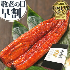 敬老の日 早割 プレゼント うなぎ 国産 食べ物 送料無料 鰻 蒲焼き 食品 ギフトセット グルメ 人気 90〜110g1本 【静岡産 ABB 化粧箱】gift-6p [1〜2人用] 9/13 15時迄の注文で9/15迄にお届け