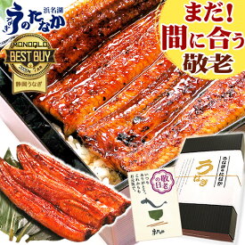 ＼まだ間に合う！／ 敬老の日 プレゼント うなぎ 国産 蒲焼き 食べ物 送料無料 鰻 食品 グルメ 人気 ギフト 誕生日 内祝い 夏ギフト ご褒美 お中元 御中元 180〜200g2本 2尾 最強配送 【静岡産 通常 AAA 化粧箱】iset [2〜3人前]うなぎのたなか