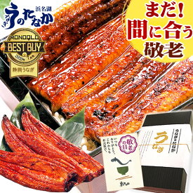 ＼まだ間に合う！／ 敬老の日 プレゼント うなぎ 国産 蒲焼き 食べ物 送料無料 鰻 食品 グルメ 人気 ギフト 誕生日 内祝い 夏ギフト ご褒美 お中元 御中元 180〜200g3本 3尾 最強配送 【静岡産 通常 AAA 化粧箱】jset [2〜3人前]うなぎのたなか