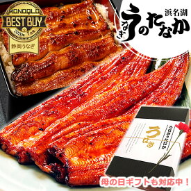 ＼早割！／ 母の日 プレゼント 早割 うなぎ 父の日 国産 蒲焼き ギフト 送料無料 鰻 ギフトセット 真空パック お祝い 食品 食べ物 誕生日 内祝い グルメ 人気 クーポン あす楽 カーネーション造花付 90～110g3本 3尾 【静岡産 通常 AAA 化粧箱】Cset [2～3人前]