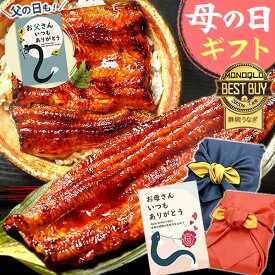＼先着150円クーポン！／ 母の日 プレゼント うなぎ 父の日 早割 国産 蒲焼き 食べ物 送料無料 鰻 お祝い 食品 グルメ 人気 ギフト ご褒美 最強配送 特大長蒲焼1本 1尾 カット蒲焼き2枚 【静岡産 AAA 風呂敷】FA [2〜3人前]