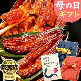 ＼先着150円クーポン！／ 母の日 プレゼント うなぎ 父の日 早割 国産 蒲焼き 食べ物 送料無料 鰻 お祝い 食品 グルメ 人気 ギフト ご褒美 最強配送 180〜200g2本 2尾 【静岡産 通常 AAA 風呂敷】Ftn2 [2〜3人前]