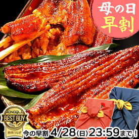 ＼早割ラスト★4/28(日)まで！／ 母の日 プレゼント 父の日 うなぎ 国産 蒲焼き ギフト 内祝い 誕生日 食べ物 送料無料 鰻 真空パック お祝い 食品 グルメ 人気 クーポン あす楽 カーネーション造花付 180～200g2本 2尾 【静岡産 通常 AAA 風呂敷】Ftn2 [2～3人前]