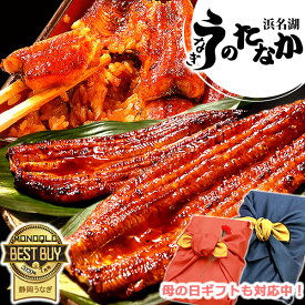 ＼早割！／ 母の日 プレゼント 早割 うなぎ 父の日 国産 蒲焼き ギフト 内祝い 誕生日 食べ物 送料無料 鰻 ギフトセット 真空パック お祝い 食品 グルメ 人気 クーポン あす楽 カーネーション造花付 180～200g2本 2尾 【静岡産 通常 AAA 風呂敷】Ftn2 [2～3人前]