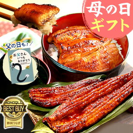 ＼先着150円クーポン！／ 母の日 プレゼント うなぎ 父の日 早割 国産 蒲焼き 食べ物 送料無料 鰻 お祝い 食品 グルメ 人気 ギフト ご褒美 最強配送 90〜110g 150〜160g 180〜200g 2〜6尾 【静岡産 AAA 簡易箱】Gset [1〜6人前]