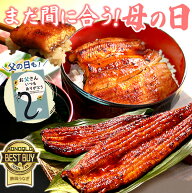 ＼まだ間に合う★150円クーポン！／ 母の日 まだ間に合う プレゼント うなぎ 父の日 早割 国産 蒲焼き 食…