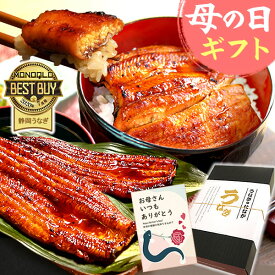 ＼先着150円クーポン！／ 母の日 プレゼント うなぎ 父の日 早割 国産 蒲焼き 食べ物 送料無料 鰻 お祝い 食品 グルメ 人気 ギフト ご褒美 最強配送 90〜110g2本 2尾 【静岡産 通常 AAA 化粧箱】gset [1〜2人前]