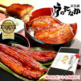 ＼早割！／ 母の日 プレゼント 早割 うなぎ 国産 蒲焼き ギフト 内祝い 誕生日 食べ物 送料無料 鰻 ギフトセット 真空パック お祝い 食品 グルメ 父の日 人気 クーポン あす楽 カーネーション造花付 90～110g2本 2尾 【静岡産 通常 AAA 化粧箱】gset [1～2人前]