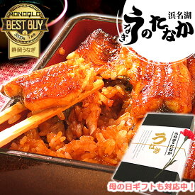 ＼早割4/1(月)まで！／ 母の日 早割 うなぎ 国産 蒲焼き プレゼント ギフト 送料無料 鰻 ギフトセット 真空パック お祝い 食品 食べ物 誕生日 内祝い グルメ 人気 あす楽 カーネーション造花付き 蒲焼き2枚 【静岡産 通常 AAA 化粧箱】PON-2 [1～2人前]