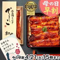 ＼まもなく終了★ポイント3倍！／ 母の日 早割 浜名湖 うなぎ 国産 蒲焼き 食べ物 送料無料 鰻 プレゼン…