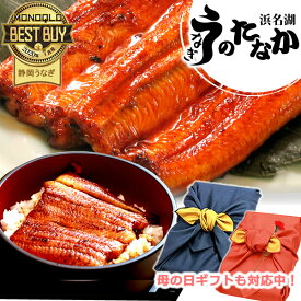 ＼クーポン配布中！／ 母の日 早割 うなぎ 国産 蒲焼き プレゼント ギフト内祝い 誕生日 食べ物 送料無料 鰻 ギフトセット 真空パック お祝い 食品 グルメ 父の日 人気 あす楽 カーネーション造花付き 180～200g3本 3尾 【静岡産 通常 AAA 風呂敷】F62 [3～5人前]