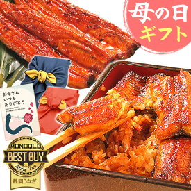 ＼先着150円クーポン！／ 母の日 プレゼント うなぎ 父の日 早割 国産 蒲焼き 食べ物 送料無料 鰻 お祝い 食品 グルメ 人気 ギフト ご褒美 最強配送 特大長蒲焼き1本 1尾 カット蒲焼き2枚 【静岡産 AAA 化粧箱】Aset [2〜3人前]