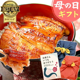 ＼先着150円クーポン！／ 母の日 プレゼント うなぎ 父の日 早割 国産 蒲焼き 食べ物 送料無料 鰻 お祝い 食品 グルメ 人気 ギフト ご褒美 最強配送 85〜95g2枚 【静岡産 通常 AAA 風呂敷】furoshiki-pon2 [1〜2人前]