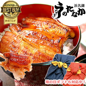 ＼早割＆ポイント4倍／ 母の日 プレゼント うなぎ 父の日 国産 蒲焼き ギフト 内祝い 誕生日 食べ物 送料無料 鰻 真空パック お祝い 食品 グルメ 人気 クーポン あす楽 カーネーション造花付き 85～95g2枚 【静岡産 通常 AAA 風呂敷】furoshiki-pon2 [1～2人前]