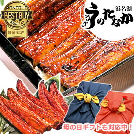 ＼早割！／ 母の日 早割 うなぎ 国産 蒲焼き プレゼント ギフト 内祝い 誕生日 食べ物 送料無料 鰻 ギフトセット 真空パック お祝い 食品 グルメ 父の日 人気 クーポン あす楽 カーネーション造花付 180～200g5本 5尾 【静岡産 通常 AAA 風呂敷】Ftn5 [3～5人前]