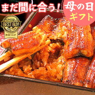 ＼まだ間に合う★150円クーポン！／ 母の日 まだ間に合う プレゼント うなぎ 父の日 早割 国産 蒲焼き 食…