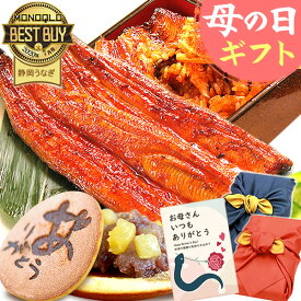 ＼先着150円クーポン！／ 母の日 プレゼント うなぎ 父の日 早割 国産 蒲焼き 食べ物 送料無料 鰻 お祝い 食品 グルメ 人気 ギフト ご褒美 最強配送 特大長蒲焼1本 1尾 カット蒲焼2枚 どら焼き 【静岡産 AA 風呂敷】furoshiki-Asetdora2 [2〜3人前]