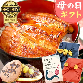 ＼先着150円クーポン！／ 母の日 プレゼント うなぎ 父の日 早割 国産 蒲焼き 食べ物 送料無料 鰻 お祝い 食品 グルメ 人気 ギフト ご褒美 最強配送 85〜95g2枚 どら焼き 【静岡産 通常 AA 風呂敷】furoshiki-pon2dora [1~2人前]