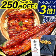 ＼上半期大感謝祭★P3倍＆250円クーポン／ お中元 御中元 プレゼント うなぎ 国産 蒲焼き 食べ物 送料無…