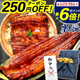 ＼今夜23：59迄★ポイント最大6倍＆250円クーポン／ お中元 御中元 プレゼント うなぎ 国産 蒲焼き 食べ物 送料無料 鰻 食品 人気 ギフト 誕生日 内祝い 夏 小分け ご褒美 特大長蒲焼1本 1尾 特大 カット蒲焼2枚 最強配送 【静岡産 AAA 風呂敷】FA [2〜3人前]うなぎのたなか