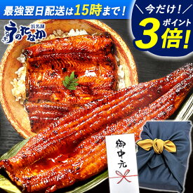 ＼上半期大感謝祭★P3倍＆150円クーポン／ お中元 御中元 プレゼント うなぎ 国産 蒲焼き 食べ物 送料無料 鰻 食品 人気 ギフト 誕生日 内祝い 夏ギフト 小分け ご褒美 特大長蒲焼1本 1尾 特大 カット蒲焼き2枚 最強配送 【静岡産 AAA 風呂敷】FA [2〜3人前]うなぎのたなか