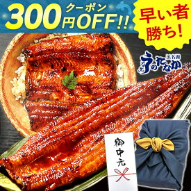 ＼早い者勝ち★300円クーポン／ お中元 御中元 プレゼント うなぎ 国産 蒲焼き 食べ物 送料無料 鰻 食品 人気 ギフト 誕生日 内祝い 夏ギフト 小分け ご褒美 特大長蒲焼1本 1尾 特大 カット蒲焼き2枚 最強配送 【静岡産 AAA 風呂敷】FA [2〜3人前]うなぎのたなか