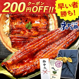 ＼早い者勝ち★200円クーポン／ お中元 御中元 プレゼント うなぎ 国産 蒲焼き 送料無料 鰻 食品 人気 ギフト 誕生日 内祝い 夏ギフト 小分け ご褒美 敬老の日 早割 特大長蒲焼1本 1尾 特大 カット蒲焼き2枚 最強配送 【静岡産 AAA 風呂敷】FA [2〜3人前] うなぎのたなか