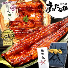 ＼夏休みSALE★ポイント3倍！／ お中元 御中元 うなぎ 国産 蒲焼き ギフト 食べ物 送料無料 鰻 プレゼント 夏ギフト お祝い 食品 グルメ 人気 内祝い 誕生日 敬老の日 早割 最強配送 ご褒美 特大長蒲焼1本 1尾 カット蒲焼き2枚 【静岡産 AAA 風呂敷】FA [2〜3人前]