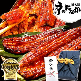 ＼W利用で205円クーポン！／ お中元 御中元 うなぎ 国産 蒲焼き ギフト 食べ物 送料無料 鰻 プレゼント 夏ギフト お祝い 食品 グルメ 人気 内祝い 誕生日 土用の丑の日 父の日 最強配送 ご褒美 180〜200g2本 2尾 【静岡産 通常 AAA 風呂敷】Ftn2 [2〜3人前]