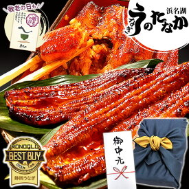 ＼夏休みSALE★ポイント3倍！／ お中元 御中元 うなぎ 国産 蒲焼き ギフト 食べ物 送料無料 鰻 プレゼント 夏ギフト お祝い 食品 グルメ 人気 内祝い 誕生日 敬老の日 早割 最強配送 ご褒美 180〜200g2本 2尾 【静岡産 通常 AAA 風呂敷】Ftn2 [2〜3人前]