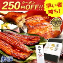＼今夜23：59迄★P4倍＆250円クーポン／ お中元 御中元 プレゼント うなぎ 国産 蒲焼き 食べ物 送料無料 鰻 食品 グル…
