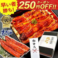 ＼上半期大感謝祭★250円クーポン／ お中元 御中元 プレゼント うなぎ 国産 蒲焼き 食べ物 送料無料 鰻 …
